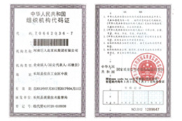 Organization code certificate